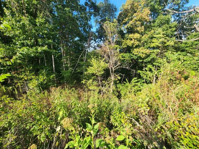Lot 1 Eriboll Lane, Bella Vista, AR 72715