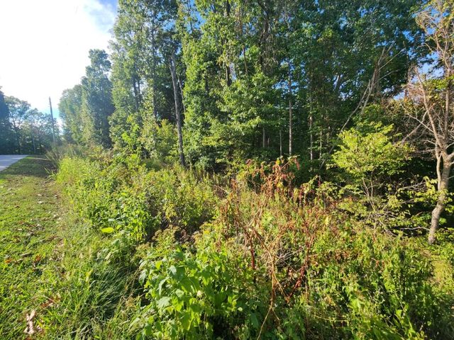 Lot 1 Eriboll Lane, Bella Vista, AR 72715