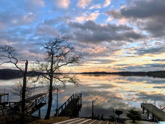 60 TWIN ISLE SOUTH DRIVE, Vincent, AL 35178