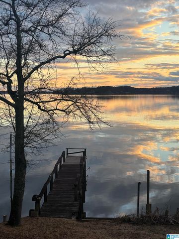 60 TWIN ISLE SOUTH DRIVE, Vincent, AL 35178