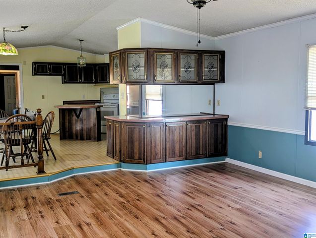 60 TWIN ISLE SOUTH DRIVE, Vincent, AL 35178