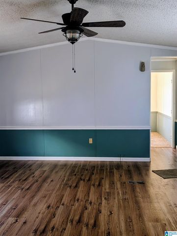 60 TWIN ISLE SOUTH DRIVE, Vincent, AL 35178