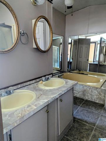 60 TWIN ISLE SOUTH DRIVE, Vincent, AL 35178