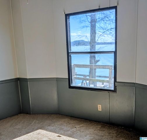 60 TWIN ISLE SOUTH DRIVE, Vincent, AL 35178