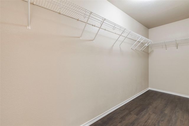 8712 Dittmar Oaks DR, Austin, TX 78748