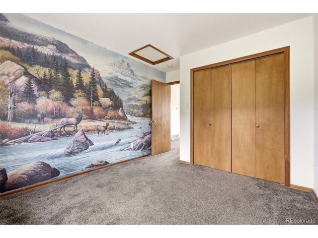 73 Sunlight Ln, Bailey, CO 80421