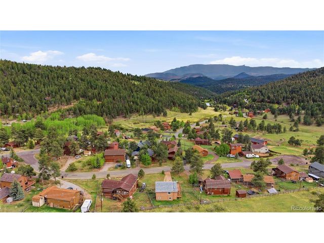73 Sunlight Ln, Bailey, CO 80421