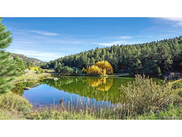 73 Sunlight Ln, Bailey, CO 80421
