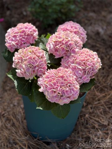 10947 Coyote Lane, Charlotte, NC 28277