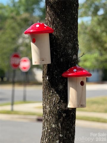 10947 Coyote Lane, Charlotte, NC 28277