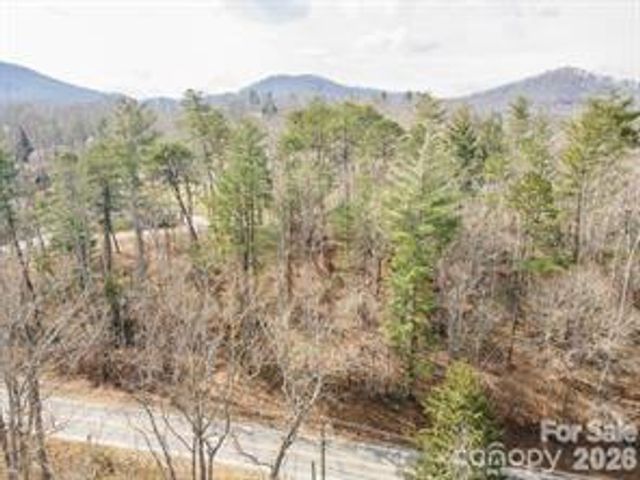 tbd Ball Gap Road, Arden, NC 28704