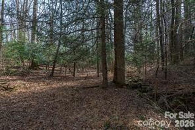 tbd Ball Gap Road, Arden, NC 28704