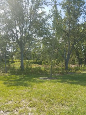 14263 DAMSELFLY DRIVE, Tampa, FL 33625