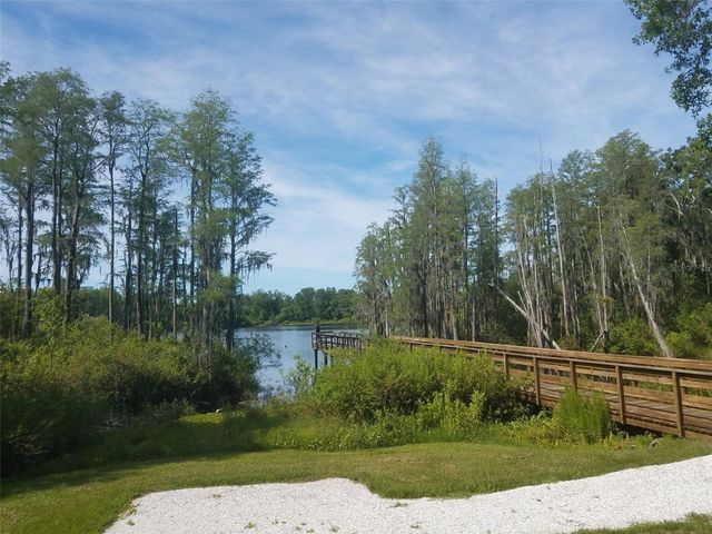 14263 DAMSELFLY DRIVE, Tampa, FL 33625