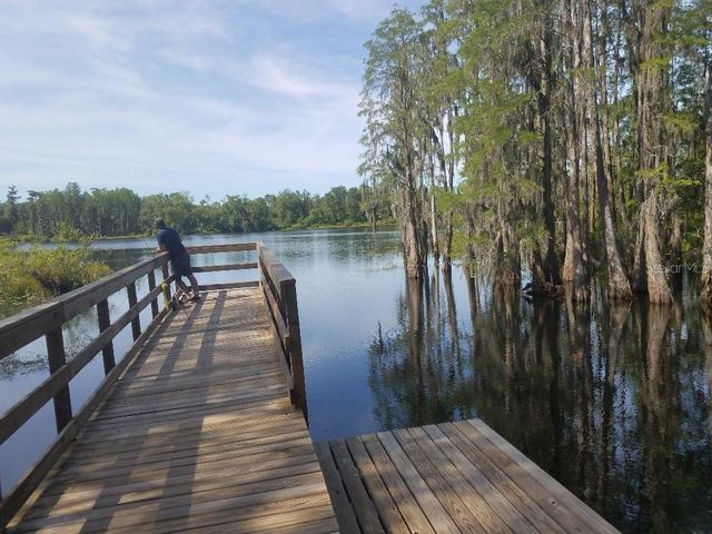 14263 DAMSELFLY DRIVE, Tampa, FL 33625
