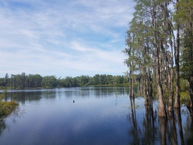 14263 DAMSELFLY DRIVE, Tampa, FL 33625