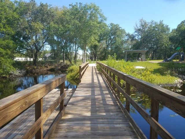 14263 DAMSELFLY DRIVE, Tampa, FL 33625