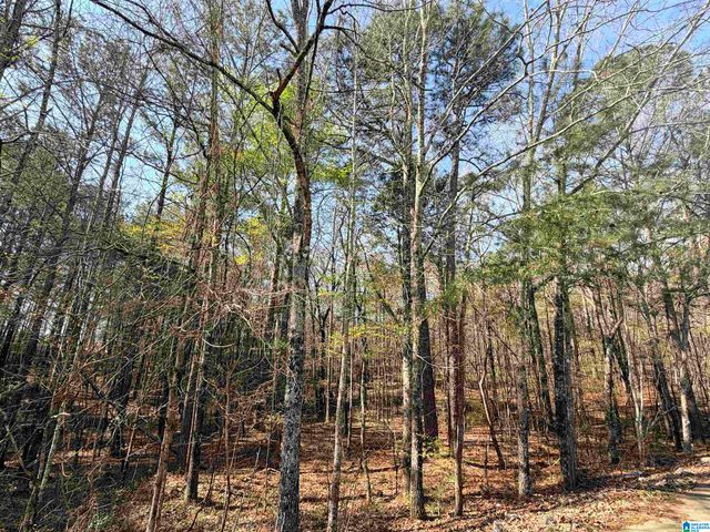 95 HUCKLEBERRY CIRCLE, Odenville, AL 35120