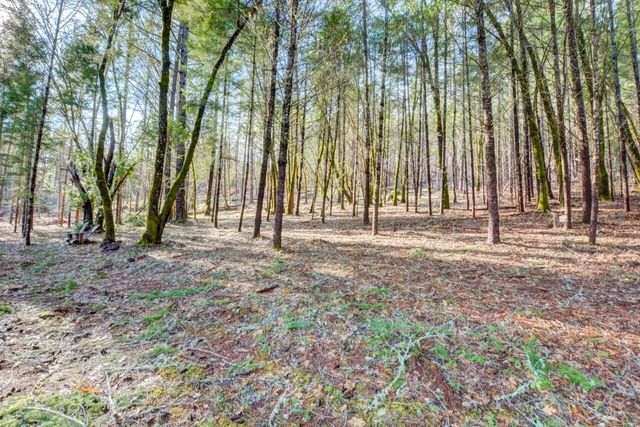 530 Ingalls Lane, Wilderville, OR 97543