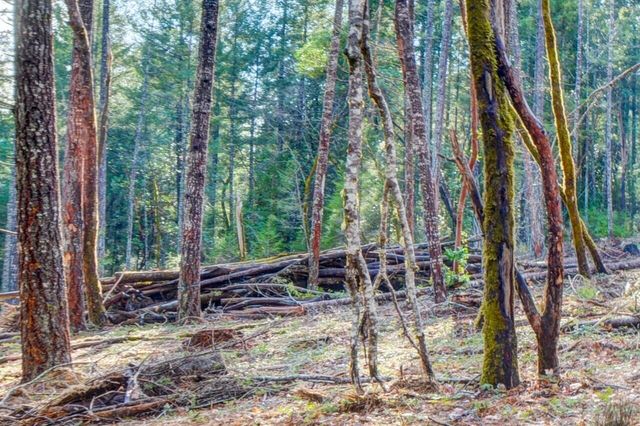 530 Ingalls Lane, Wilderville, OR 97543