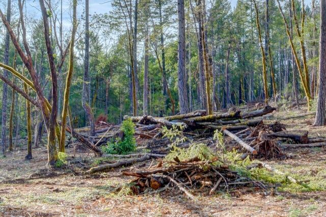 530 Ingalls Lane, Wilderville, OR 97543