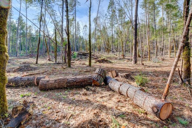 530 Ingalls Lane, Wilderville, OR 97543