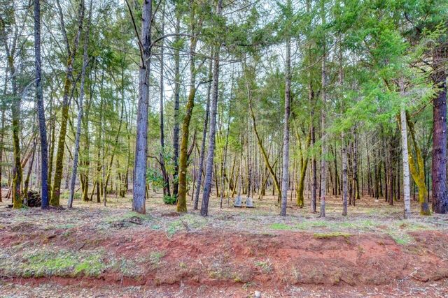 530 Ingalls Lane, Wilderville, OR 97543