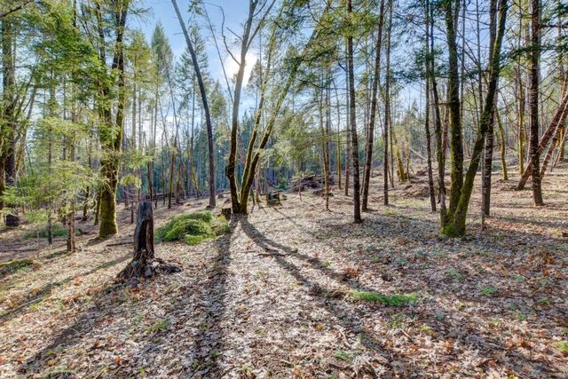 530 Ingalls Lane, Wilderville, OR 97543