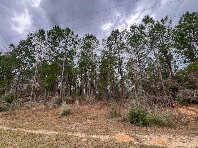 T-5 Farm To Market 1012, Newton, TX 75966