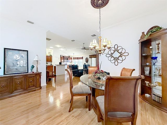 858 ASTOR WAY, The Villages, FL 32162