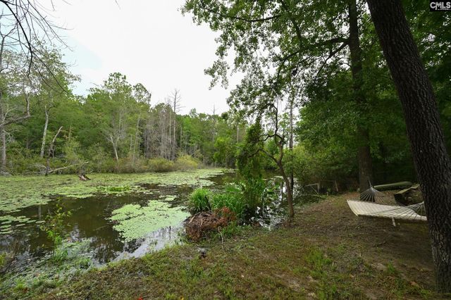 133 Maguire Drive, Lexington, SC 29073