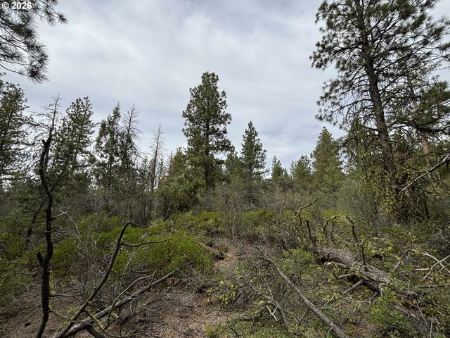 Gibbon Ln, Bonanza, OR 97623
