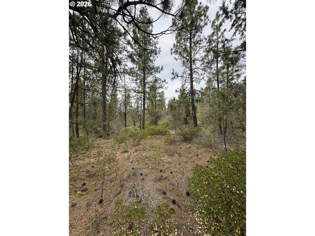 Gibbon Ln, Bonanza, OR 97623