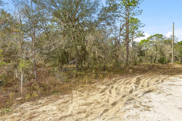 CAYMAN ROAD, Weeki Wachee, FL 34614