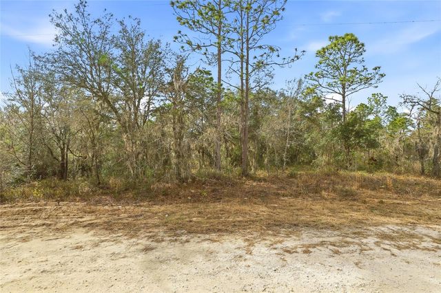 CAYMAN ROAD, Weeki Wachee, FL 34614