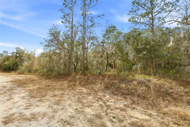 CAYMAN ROAD, Weeki Wachee, FL 34614
