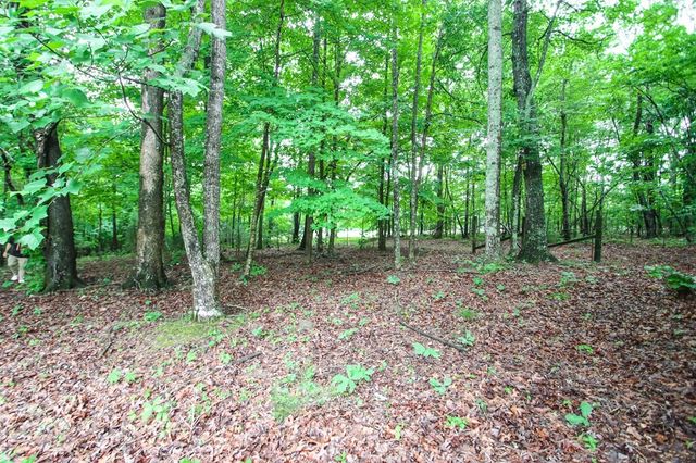 541 Toy Slatten Rd, Sparta, TN 38583