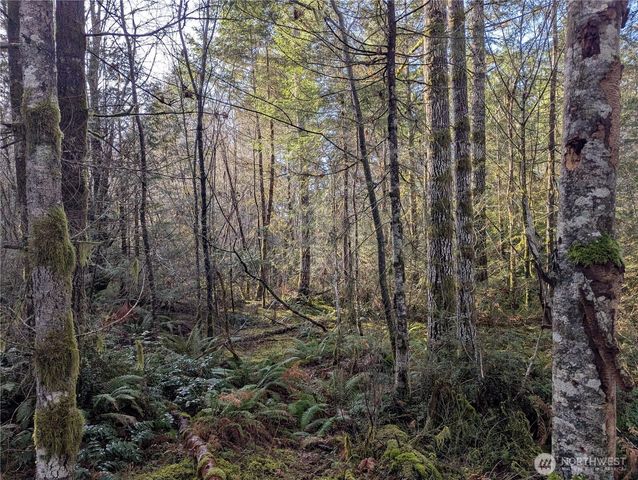 0 E Savage, Grapeview, WA 98546