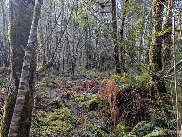 0 E Savage, Grapeview, WA 98546