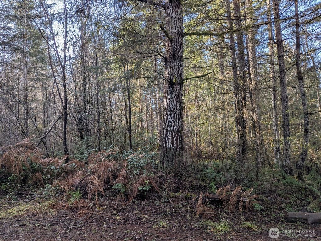 0 E Savage, Grapeview, WA 98546