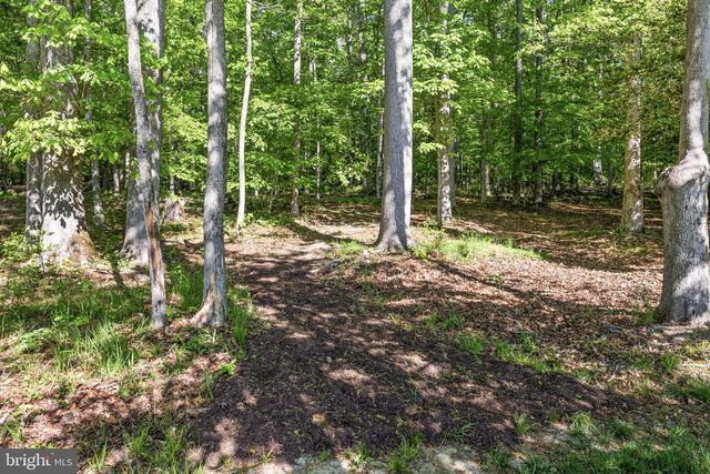 12129 SAWHILL BLVD, Spotsylvania, VA 22553
