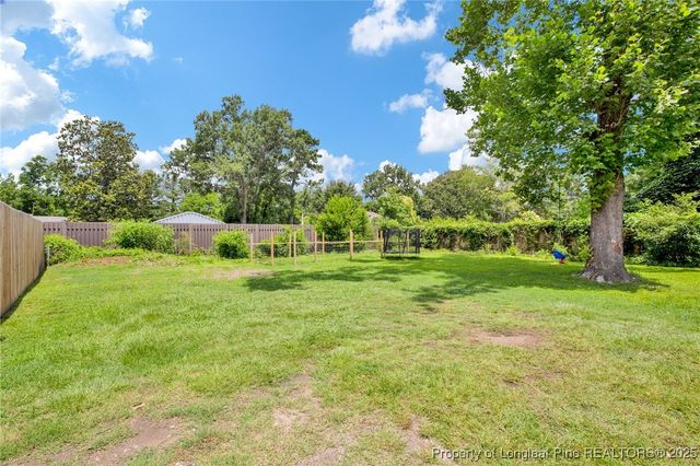 185 N Fayetteville Street, Parkton, NC 28371