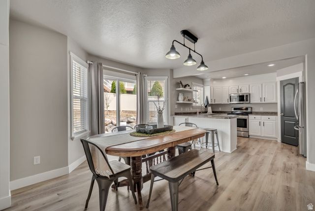 338 W RYE DR, Saratoga Springs, UT 84045