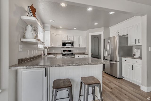 338 W RYE DR, Saratoga Springs, UT 84045