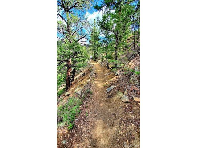 1418 Rose St, Georgetown, CO 80444