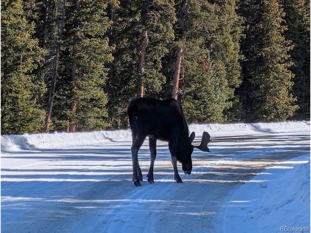 1418 Rose St, Georgetown, CO 80444