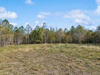 0 Old Mail Road, Duck River, TN 38454