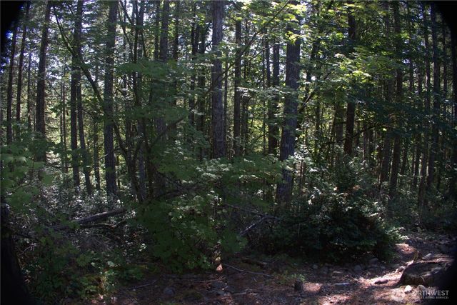 321 Lakewood Drive, Hoodsport, WA 98548