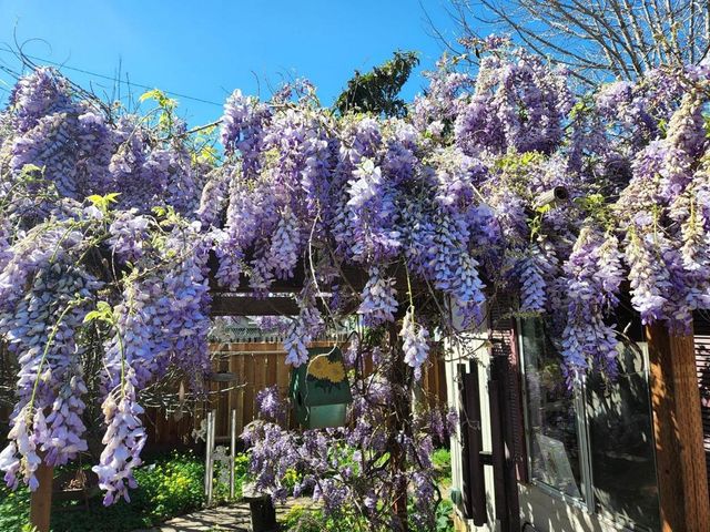 36747 Theta Court, Fremont, CA 94536