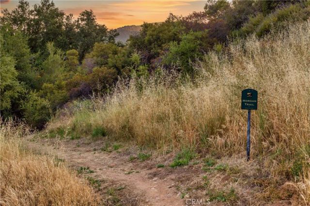 18 Morgan, Bell Canyon, CA 91307